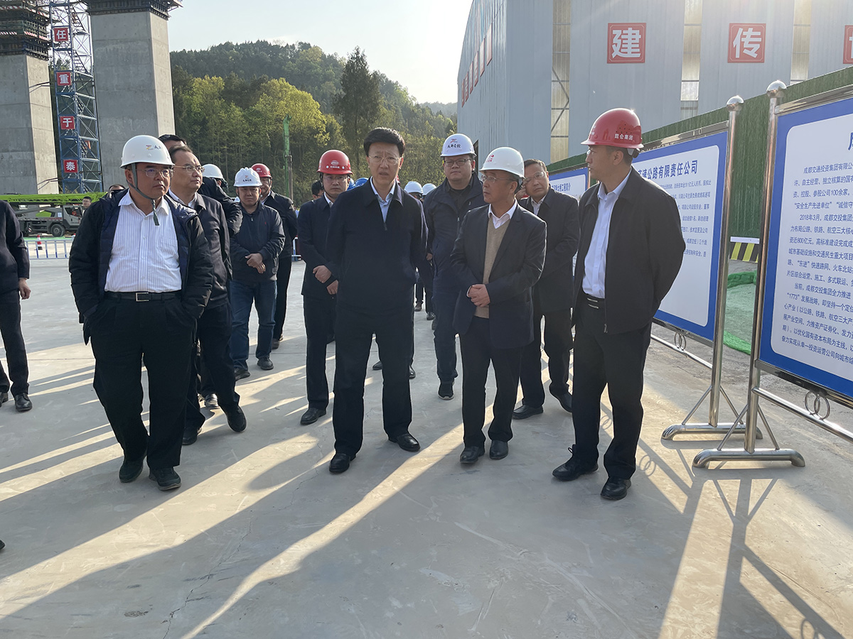 罗佳明厅长检查工地1.jpg