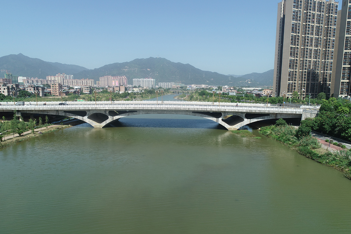 全桥俯瞰图.JPG